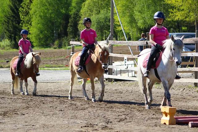 Poni ja ratsastaja loikkaamassa korkean esteen yli.